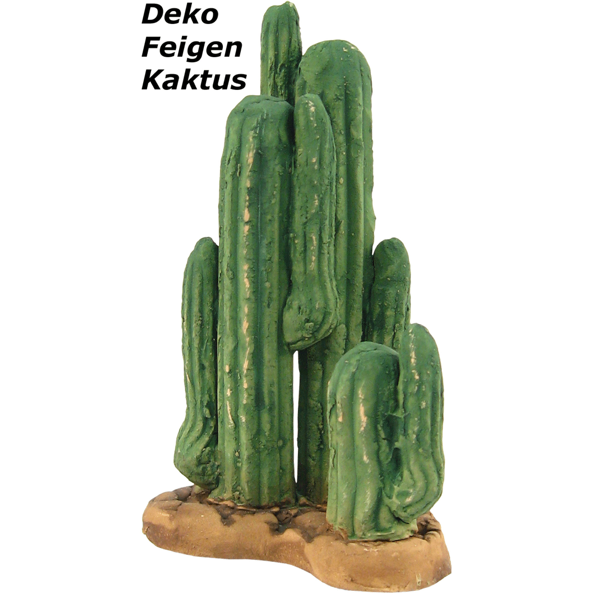 Feigen-Kaktus Dekoration