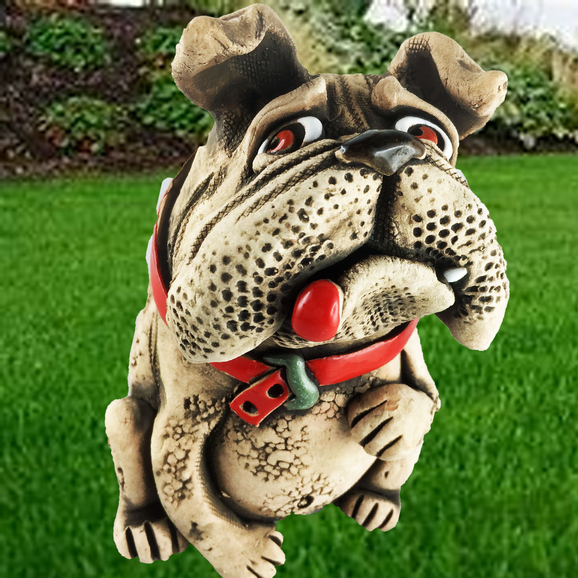 BullDogge Schnauz - RucherHund